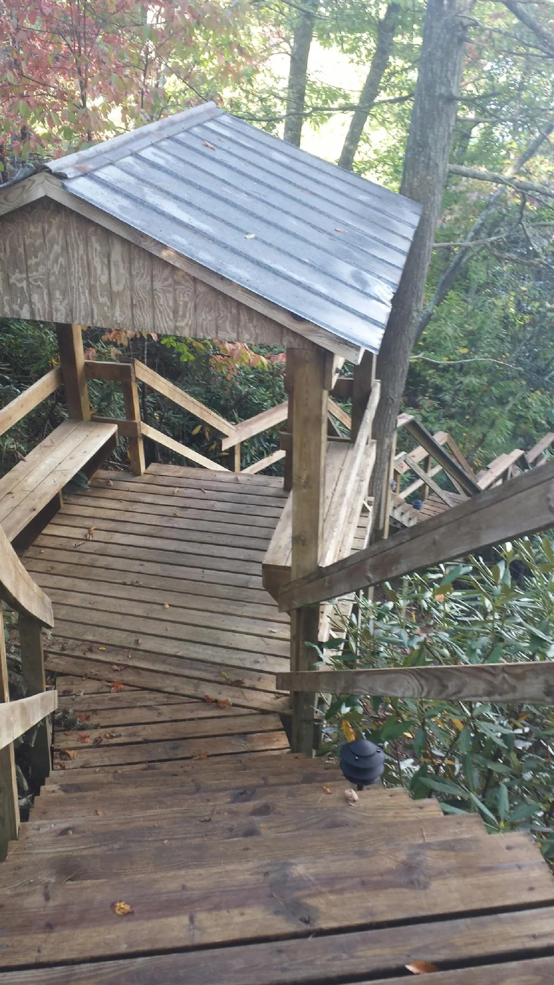 Metal roofed shelter over wooden steps on a wooded walkway — Skylight Repair & Installation work by our crew in Clyo
